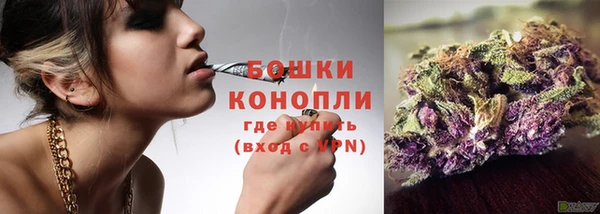 прущая мука Дмитриев