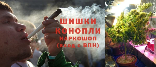 прущая мука Дмитриев