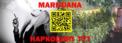 гидра Берёзовский