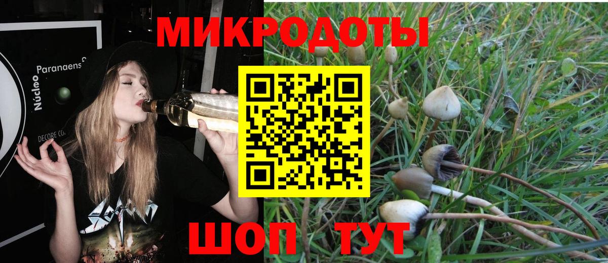 Псилоцибиновые грибы Psilocybine cubensis Карталы