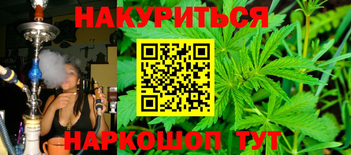 Конопля сатива Карталы